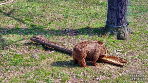 Zoo Wroclaw