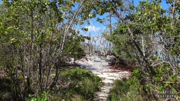 The road to the wild beach on Cayo Jutias, Cuba