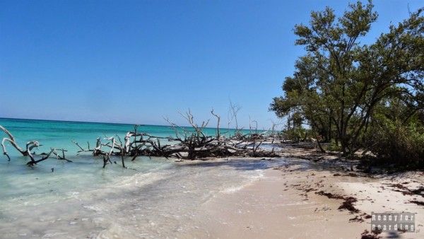 Cuba - Cayo Jutias