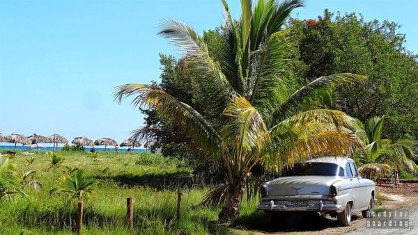 Cuba - Cayo Jutias