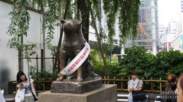 Japan, Tokyo - Shibuya dog Hachiko