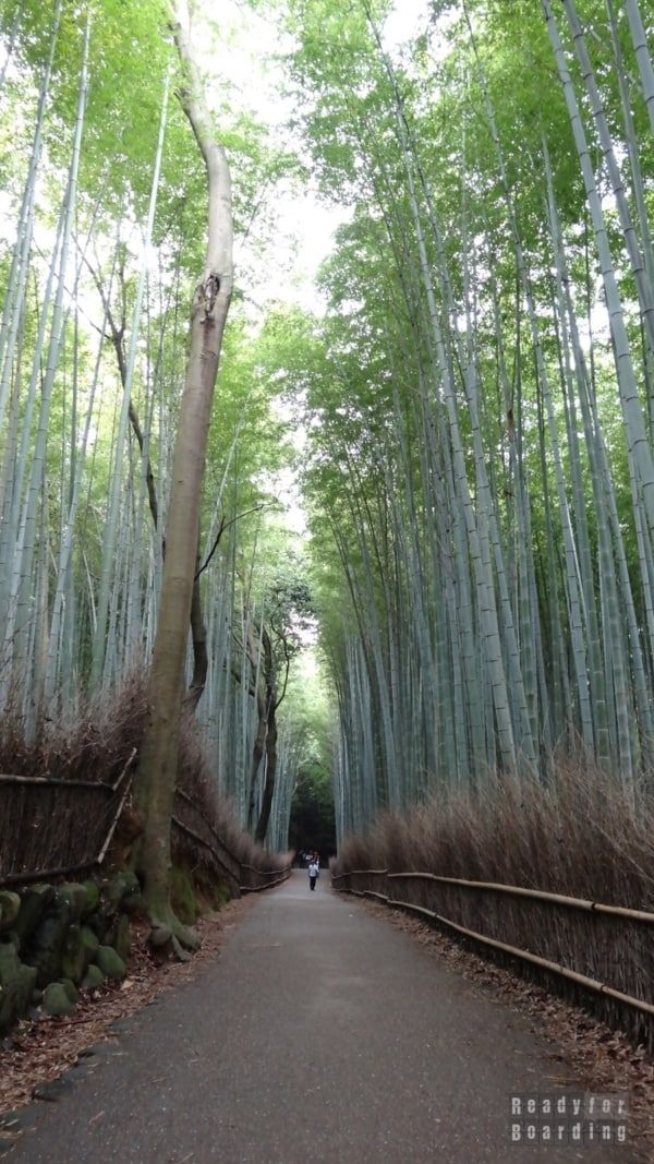 Arashiyama - Bamboo Groves