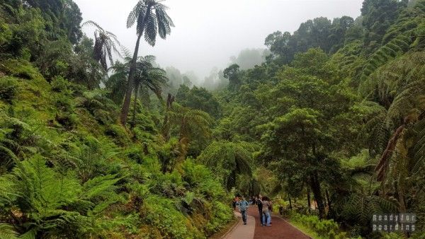 Caldeira Velha - Azores