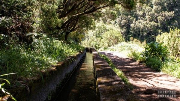 Levada - Madeira