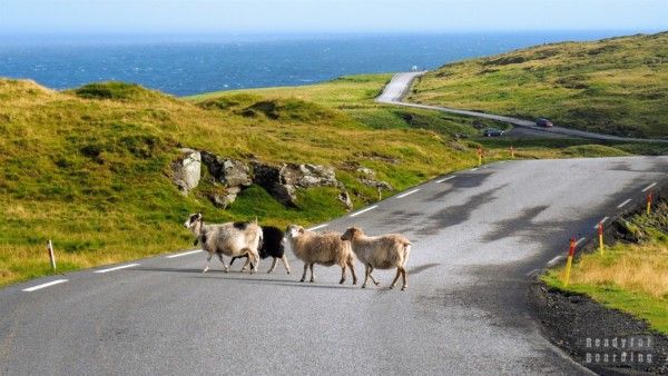 Eysturoy - Faroe Islands