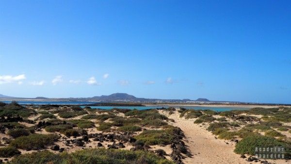 Fuerteventura - Canary Islands