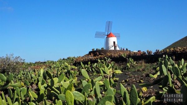 Lanzarote - Canary Islands