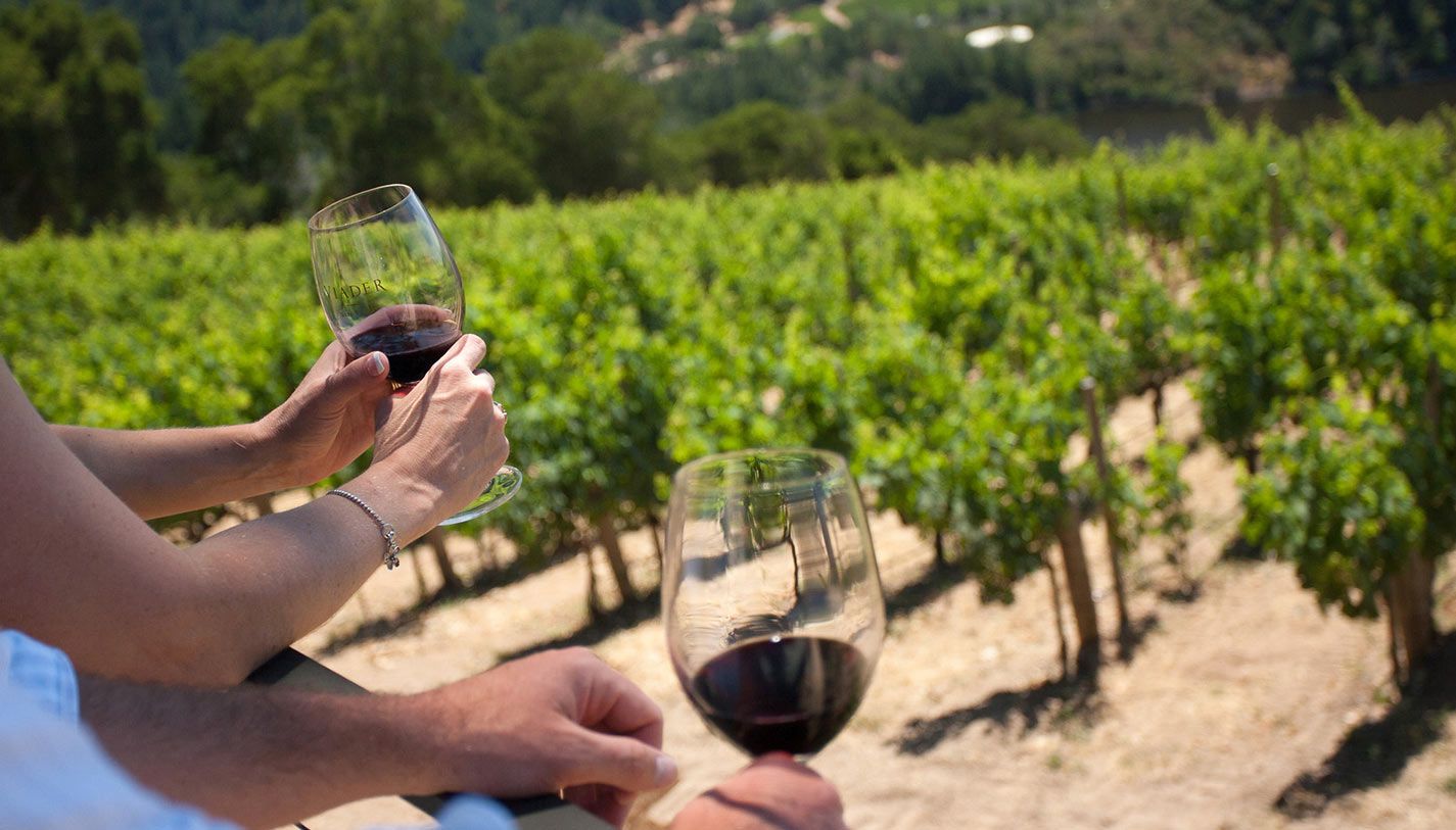 Wine Country Escapes: Exploring Vineyards and Wine Tasting Tours